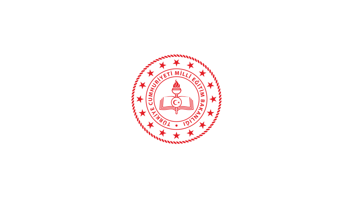 Okul Logo